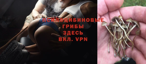 каннабис Козловка