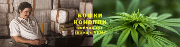 молекула духа Нижневартовск