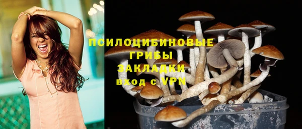 MDMA Premium VHQ Козельск