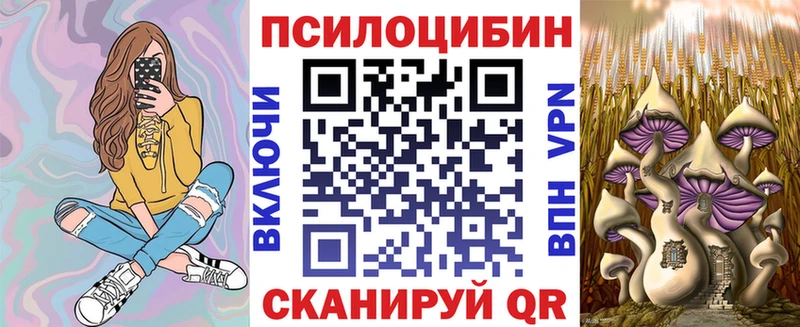 Купить закладки Миньяр Псилоцибиновые грибы мицелий